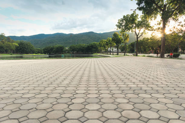 Best Residential Driveway Paver Services  in Spring City, TN